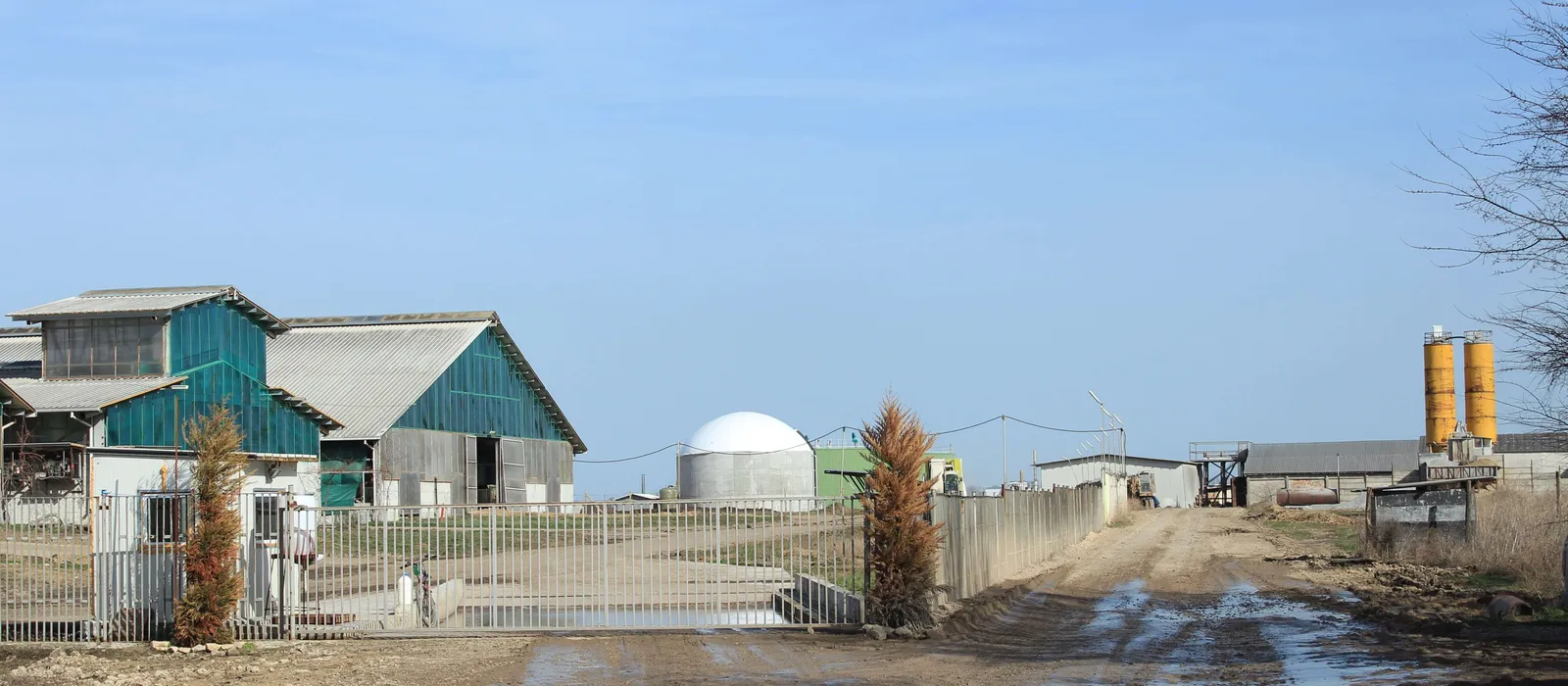 Кравефермата и биогаз централата в с. Овчарово