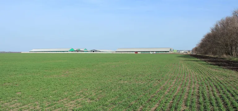 Нивите и фермата в с. Овчарово